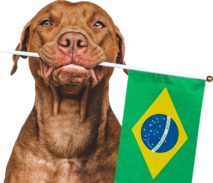 Tenho Petshop