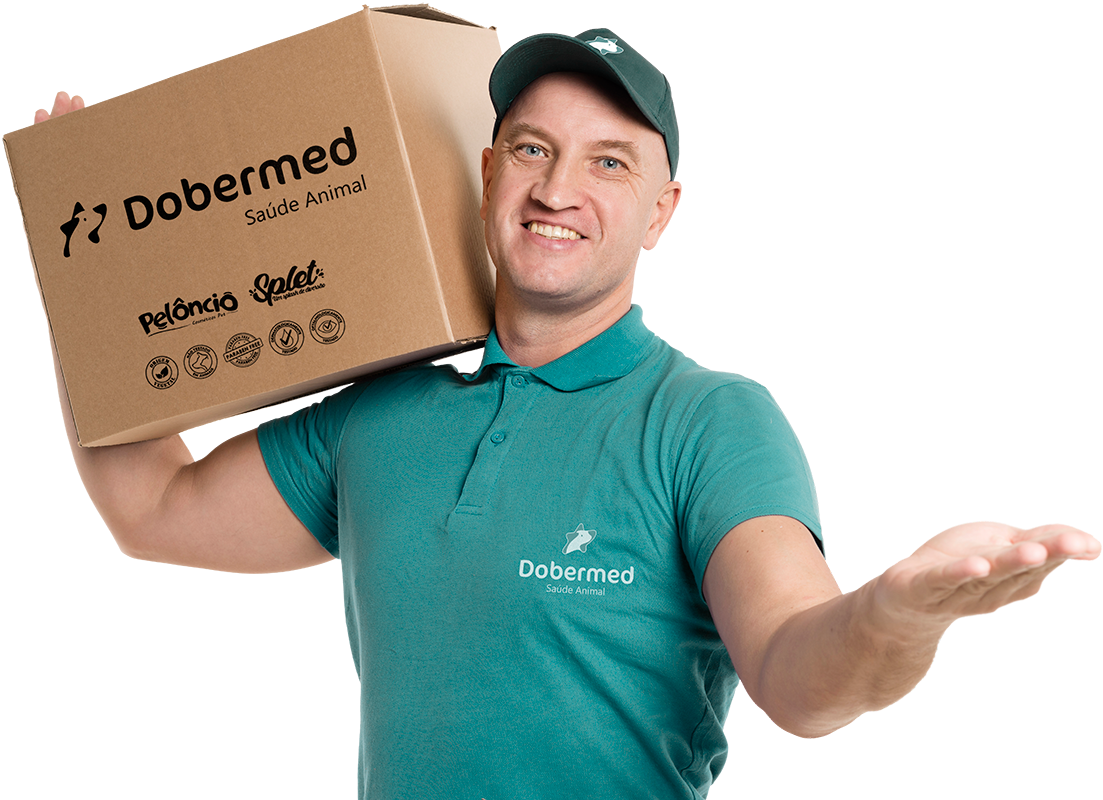 Distribuidor