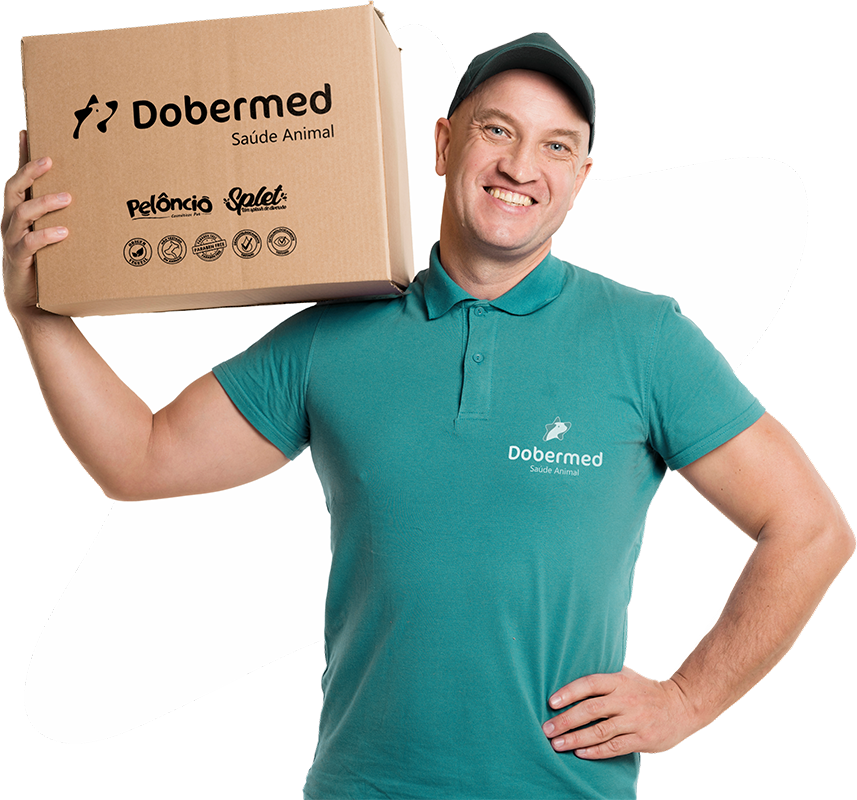 Distribuidor